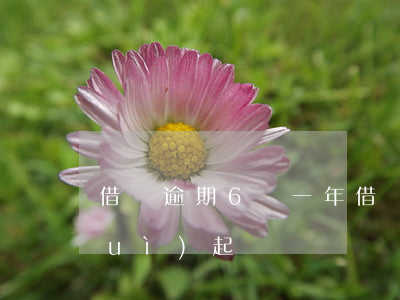 借唄逾期6萬一年（借唄六千逾期一年會(huì)起訴嗎）