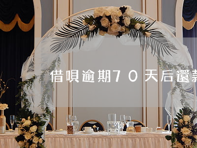 借唄逾期70天后還款還能用嗎-