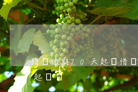 借唄逾期70天起訴 借唄逾期170天會被起訴嗎