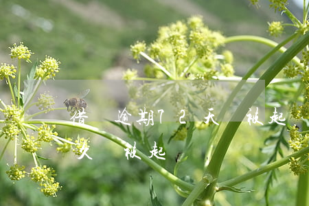 借唄逾期72天會被起訴嗎 借唄逾期八萬多久會被起訴