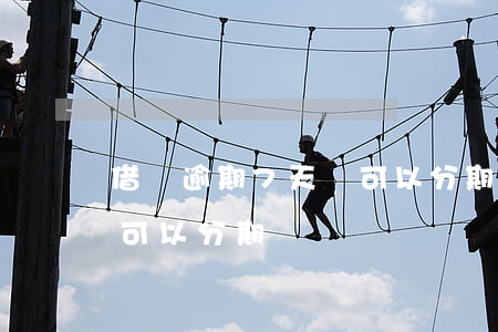 借唄逾期7天還可以分期嗎(借唄逾期7天還可以分期嗎)