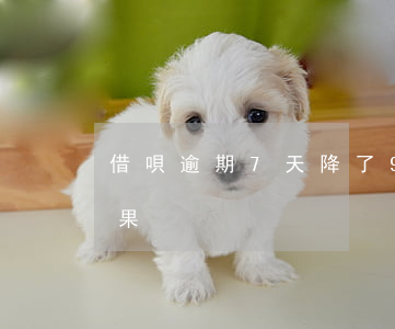 借唄逾期7天降了98分(借唄逾期8天的后果)