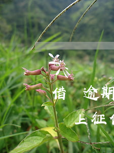借唄逾期80天會上征信嗎 借唄逾期80天會上征信嗎