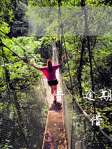 借唄逾期80天還進(jìn)去了還能借嗎-借唄逾期80天還進(jìn)去了還能借嗎怎么辦