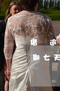 借唄逾期8天利息怎么算的(借唄2000逾期七天利息多少)