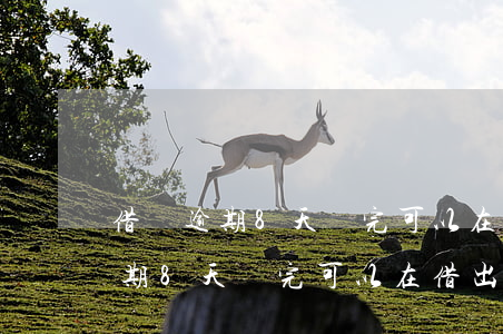 借唄逾期8天還完可以在借出來嗎-借唄逾期8天還完可以在借出來嗎