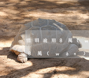借唄逾期8萬(wàn)多久起訴(借唄逾期8萬(wàn)多久起訴)