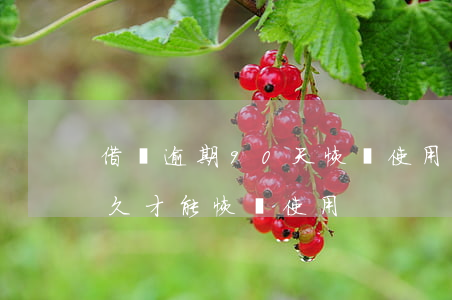 借唄逾期90天恢復使用(借唄逾期一天要多久才能恢復使用)
