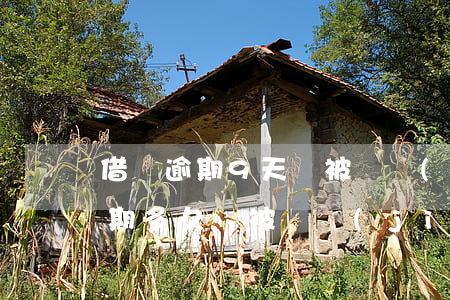 借唄逾期9天會被凍結(jié)嗎(借唄逾期多久會被凍結(jié)額度)