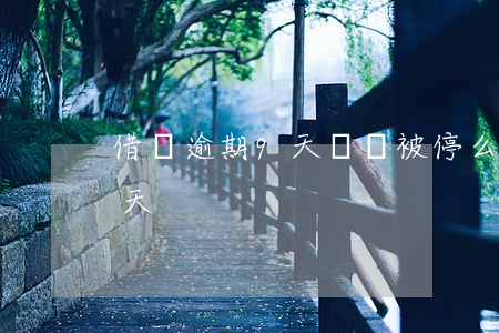 借唄逾期9天螞蟻被停么(借唄不小心逾期8天)