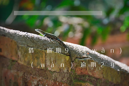 借唄逾期9萬(wàn)286天（借唄9萬(wàn)逾期2年親身經(jīng)歷）