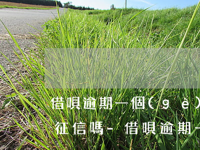 借唄逾期一個(gè)星期會(huì)上征信嗎-借唄逾期一個(gè)星期會(huì)上征信嗎知乎