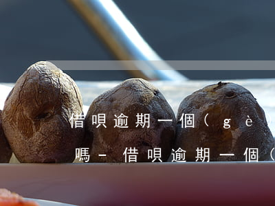 借唄逾期一個(gè)星期還上后還可以用嗎-借唄逾期一個(gè)星期,還上后還可以用嗎