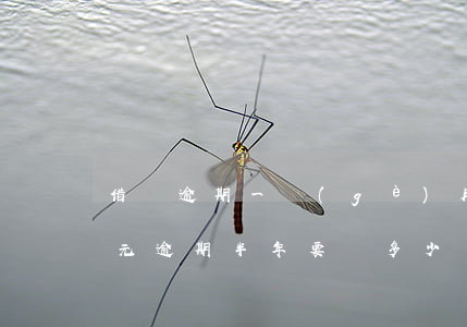 借唄逾期一個(gè)月一萬塊錢(借唄一萬元逾期半年要還多少)