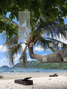 借唄逾期一個(gè)月了會(huì)怎樣(借唄逾期一個(gè)月了會(huì)怎樣)