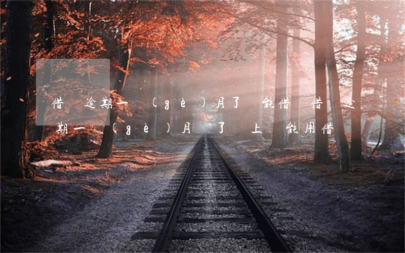 借唄逾期一個(gè)月了還能借嗎(借唄逾期一個(gè)月還了馬上還能用借唄嗎)