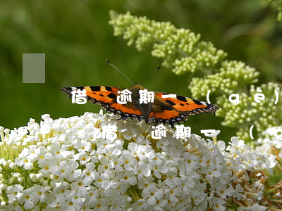 借唄逾期一個(gè)月可以辦理信用卡嗎-借唄逾期一個(gè)月可以辦理信用卡嗎