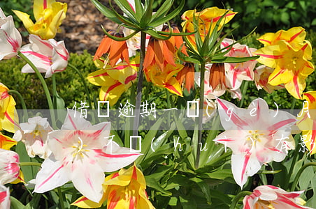 借唄逾期一個(gè)月后還了會(huì)不會(huì)有影響-借唄逾期一個(gè)月后還了會(huì)不會(huì)有影響征信