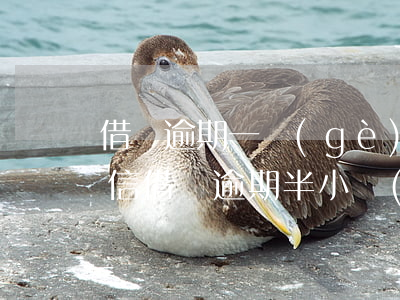 借唄逾期一個(gè)月會(huì)上征信(借唄逾期半小時(shí)還款會(huì)上征信嗎)