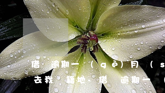 借唄逾期一個(gè)月說(shuō)要去我戶籍地-借唄逾期一個(gè)月說(shuō)要去我戶籍地是真的嗎