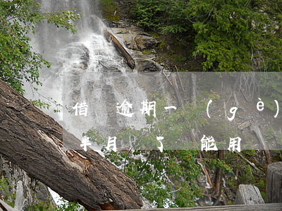 借唄逾期一個(gè)月還讓用嗎(借唄逾期半月還了還能用嗎)