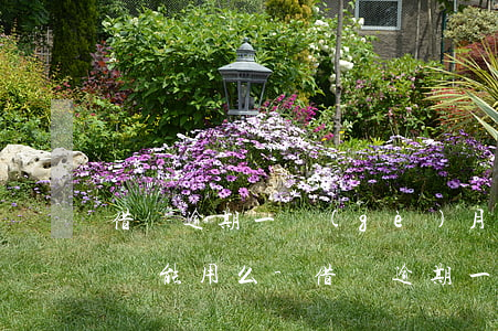 借唄逾期一個(gè)月還進(jìn)去還能用么-借唄逾期一個(gè)月了 還了還能借出來嗎?