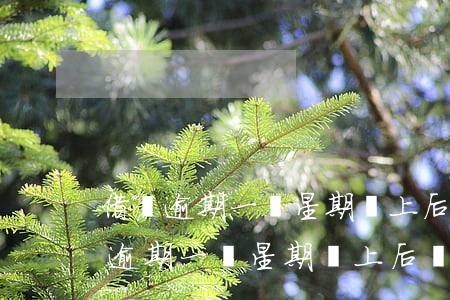 借唄逾期一個星期還上后還可以用嗎-借唄逾期一個星期,還上后還可以用嗎
