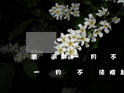 借唄逾期一個月會不會法院起訴-借唄逾期一個月會不會法院起訴