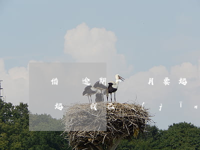 借唄逾期一個月要起訴我(借唄逾期多少天會起訴,我已經(jīng)還了2000多)