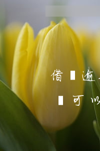 借唄逾期一個月還能貸款嗎(借唄逾期一個月還可以借嗎)