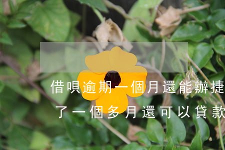 借唄逾期一個月還能辦捷信貸嗎-借唄逾期了一個多月還可以貸款嗎