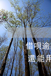 借唄逾期一個月還讓用嗎(借唄逾期半月還了還能用嗎)