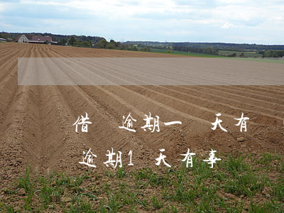 借唄逾期一兩天有設(shè)么后果(借唄逾期1天有事嗎)