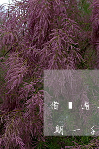 借唄逾期一千塊會(huì)怎么樣(借唄逾期一千塊會(huì)怎么樣)