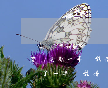 借唄逾期一半還能借出來(lái)嗎(借唄還了一半還能借嗎)