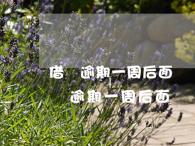 借唄逾期一周后面還進去了應該沒事吧?-借唄逾期一周后面還進去了應該沒事吧