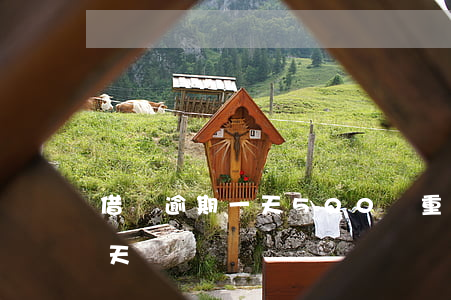 借唄逾期一天500嚴重嗎(借唄逾期一千多天)