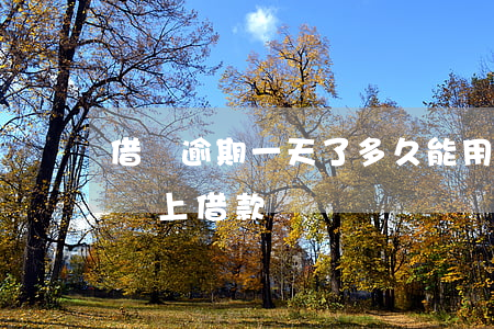 借唄逾期一天了多久能用(借唄逾期一天還能馬上借款嗎)