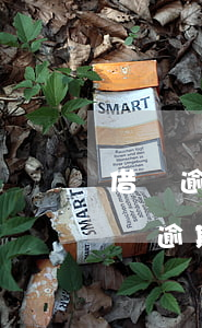 借唄逾期一天了還了之后還能再借出來-借唄逾期一天了,還了之后還能再借出來嗎