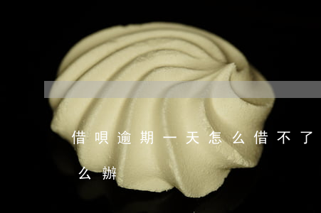 借唄逾期一天怎么借不了(借唄己逾期1天怎么辦)