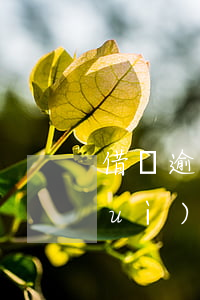 借唄逾期一天會(huì)上征信嗎會(huì)影響-借唄逾期一天會(huì)上征信嗎會(huì)影響征信嗎