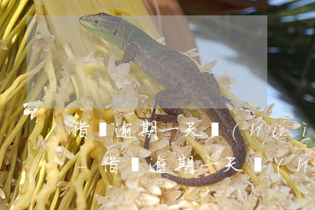 借唄逾期一天會(huì)影響京東白條嗎-借唄逾期一天會(huì)影響京東白條嗎