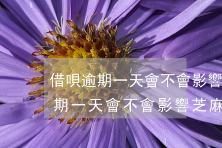 借唄逾期一天會不會影響芝麻信用-借唄逾期一天會不會影響芝麻信用額度