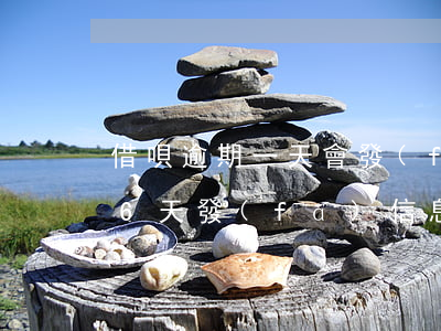 借唄逾期一天會發(fā)信息嗎（借唄逾期6天發(fā)信息）