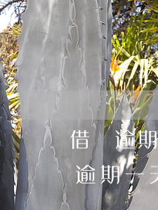 借唄逾期一天會被關(guān)閉么(借唄逾期一天會被關(guān)閉么)