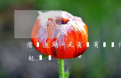 借唄逾期一天有沒有問題?（借唄逾期一天可以起訴嗎）