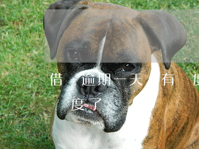借唄逾期一天沒有額度了(借唄逾期一天沒有額度了)