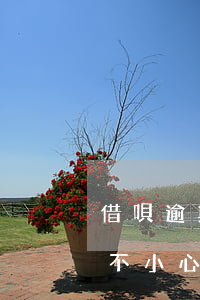 借唄逾期一天被關(guān)閉借口(借唄不小心逾期兩天被關(guān)閉了,還會有嗎)