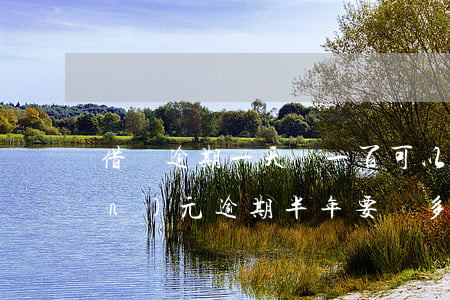 借唄逾期一天還一百可以嗎(借唄一萬(wàn)元逾期半年要還多少)