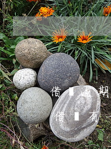 借唄逾期一天還上還能借出來(lái)嗎（借唄有一次逾期一天）